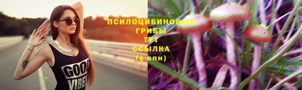 экстази Козельск